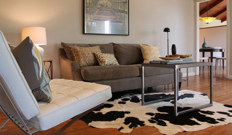 Decorate your house with exquisite cowhide rug.