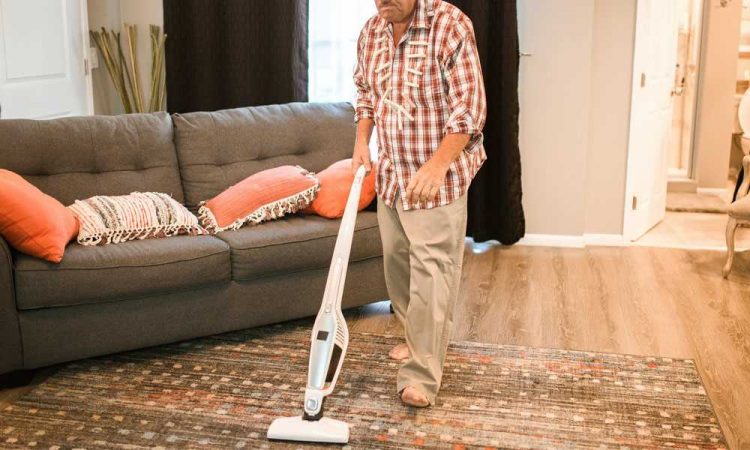 9 Best Vacuums for Area Rugs and Hardwood Floors [2021]