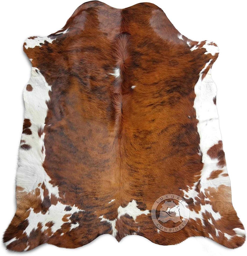 Best PetFriendly Rugs A Guide For Dogs & Cats Owners (2022)