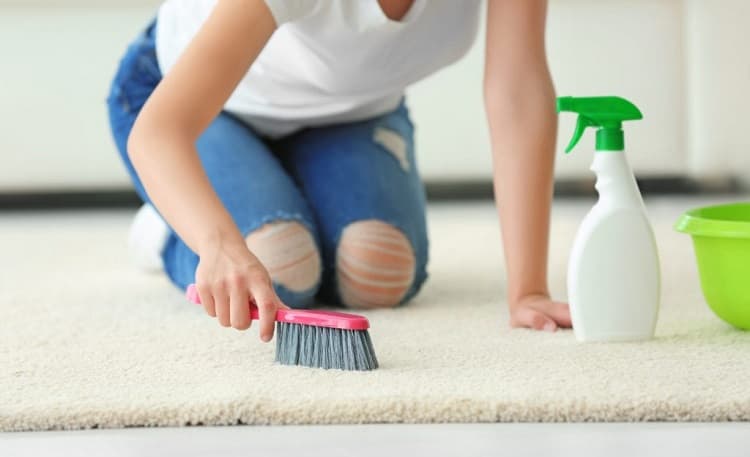 Cleaning your wool rug like a pro.