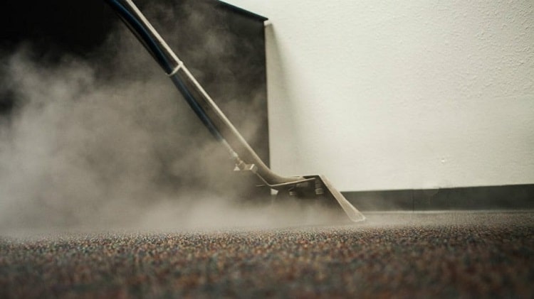 Steam carpet cleaning.
